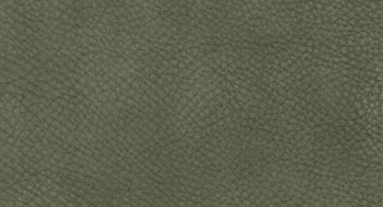 Nabuk-PelleB-Arketipo