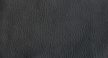 PellePienoFiore-PelleB-Arketipo