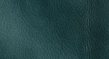 PellePienoFiore-PelleB-Arketipo