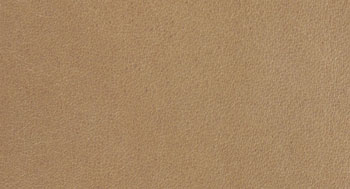 PellePienoFiore-PelleB-Arketipo