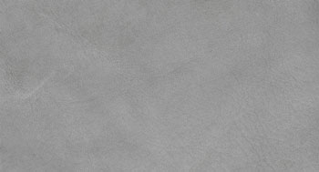 PellePienoFiore-PelleB-Arketipo