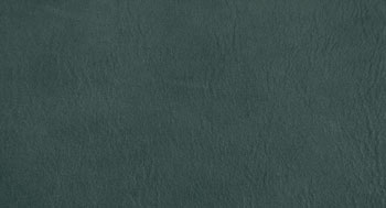 PellePienoFiore-PelleB-Arketipo