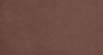 PellePienoFiore-PelleB-Arketipo