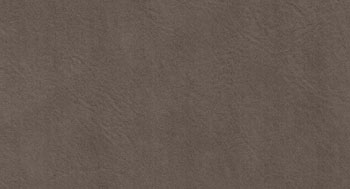 PellePienoFiore-PelleB-Arketipo