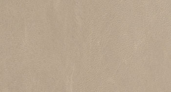 RifinizioneACera-PelleB-Arketipo