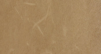 RifinizioneACera-PelleB-Arketipo