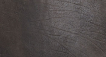 PelleDirt-Tribe-Arketipo