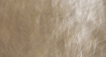 PelleDirt-Tribe-Arketipo