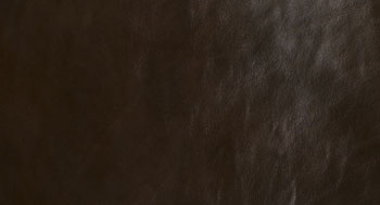 PelleDirt-Tribe-Arketipo