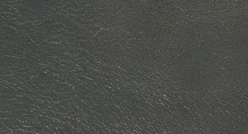 PelleDirt-Tribe-Arketipo