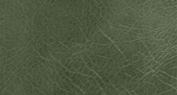 PelleDirt-Tribe-Arketipo