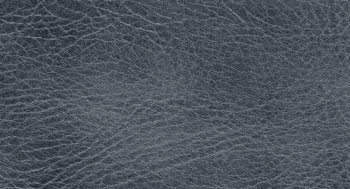 PelleDirt-Tribe-Arketipo