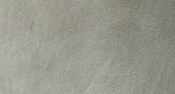 Leonardo-Pelle-Arketipo