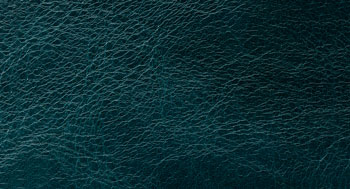 Leonardo-Pelle-Arketipo