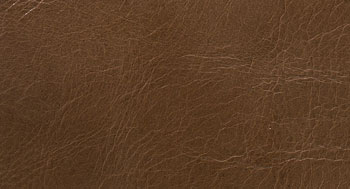 Leonardo-Pelle-Arketipo