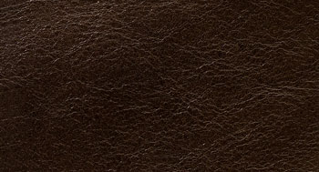 Leonardo-Pelle-Arketipo