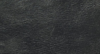 Leonardo-Pelle-Arketipo