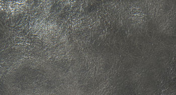 Leonardo-Pelle-Arketipo