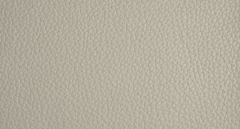 Plus-PelleP-Arketipo