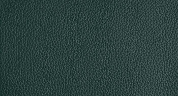 Plus-PelleP-Arketipo