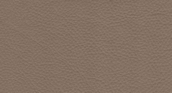 Plus-PelleP-Arketipo