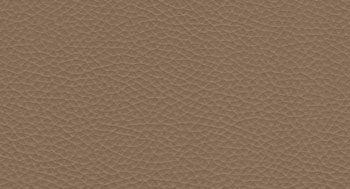 Plus-PelleP-Arketipo