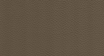 Plus-PelleP-Arketipo