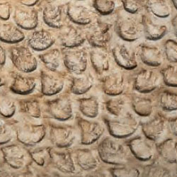 H7 Hammer Argento Antico