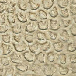 H8 Hammer Argento Champagne