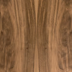 NC-NoceCanaletto-Cantori2023