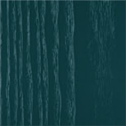 SPT-Frassino-Petrolio