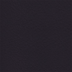 733-PelleAzzurra-Pelle