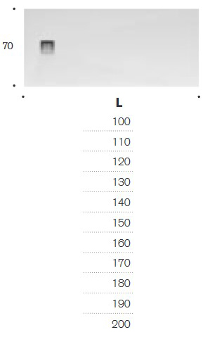 Ena Edoné Shower Tray sizes