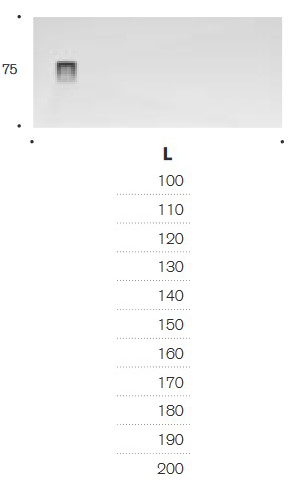 Ena Edoné Shower Tray sizes