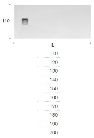 Ena Edoné Shower Tray sizes