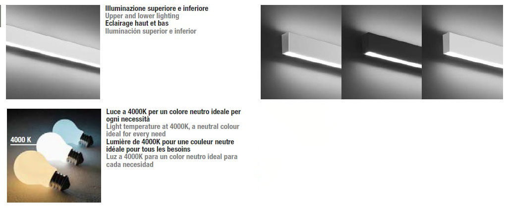 alisso-inda-structure