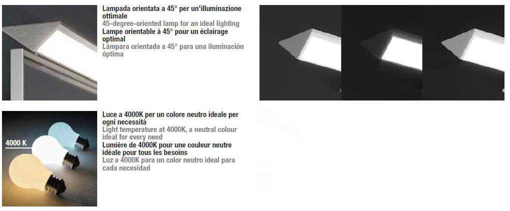 ibisco-inda-structure