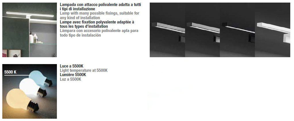 viola-inda-structure