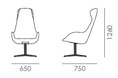 chair-taara-martex-dimensions