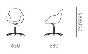 chiar-taara-martex-dimensions