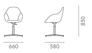 chiar-taara-martex-dimensions