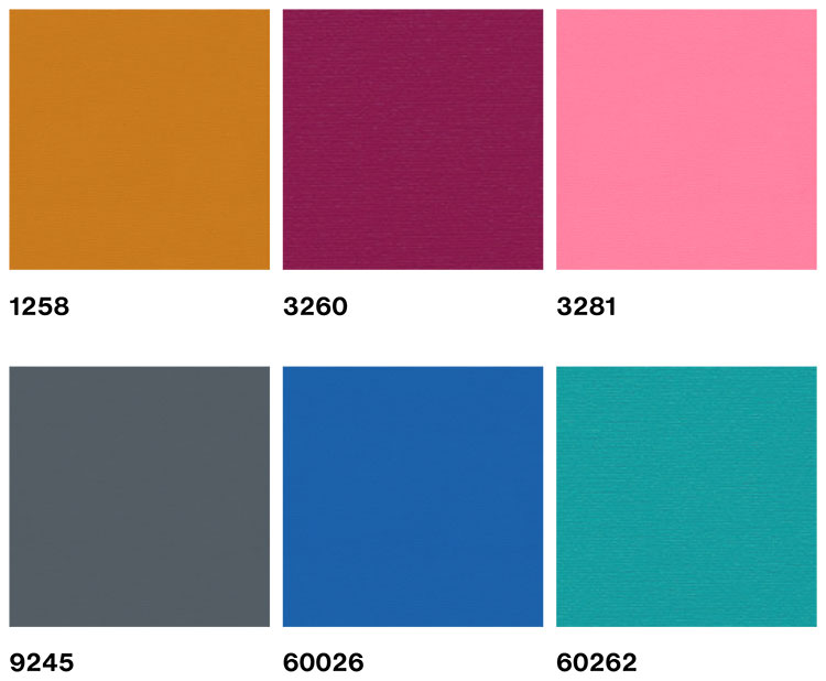 lycra-noctis-cat-sf-1