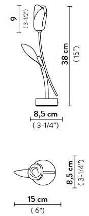 Tulip Slamp Table Lamp sizes
