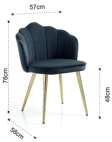 Dimensions of Shell chair by Tomasucci