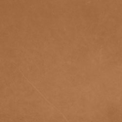 Camel21004-PelleDunesAnilina-Pelle-Varier