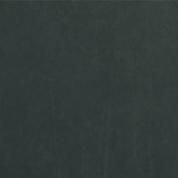 Racing Green 21005-PelleDunesAnilina-Pelle-Varier