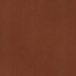 Rust 21002-PelleDunesAnilina-Pelle-Varier