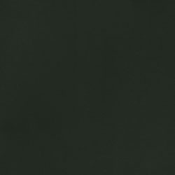 Green31327-PelleNoir-Pelle-Varier