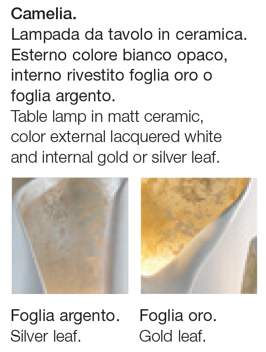 camelia-adriani-e-rossi