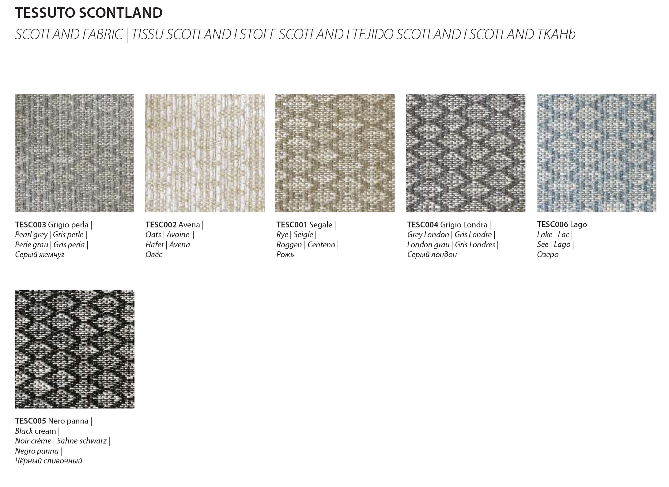 Scotland-CategoriaD-Bontempi-1